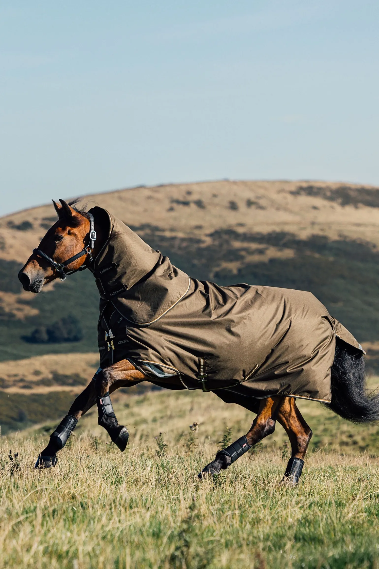 Arika Ripstop Weidedecke mit abnehmbarem Halstseil, 200 g