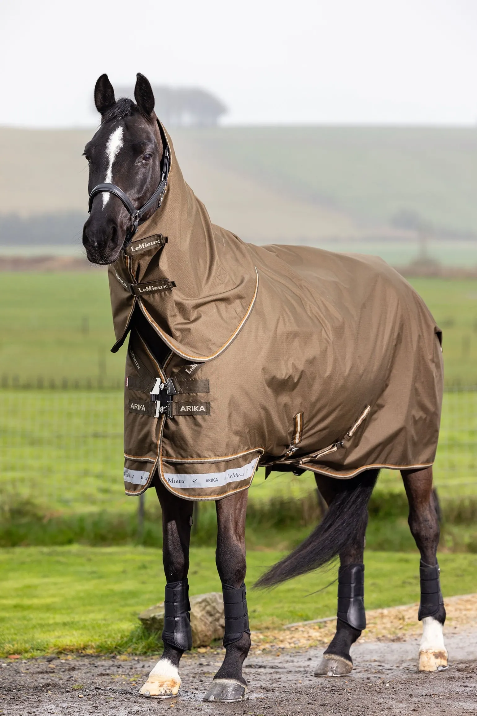 Arika Ripstop Weidedecke mit abnehmbarem Halsteil, 100 g