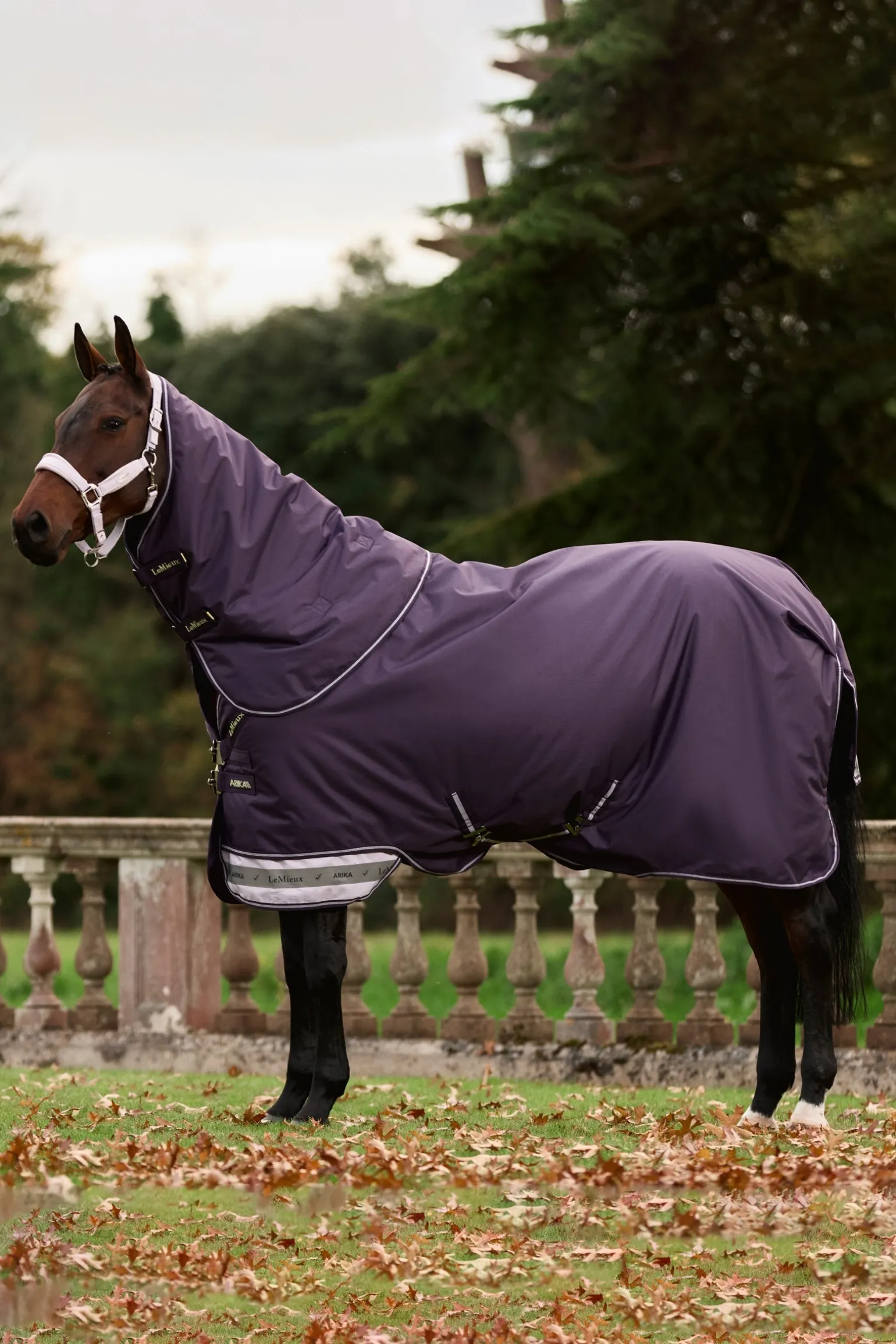 Arika Ripstop Weidedecke mit abnehmbarem Halstseil, 0 g