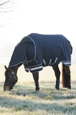 Arika Storm-Tek Lightweight Turnout Rug, 100g