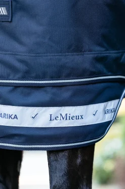 Arika Storm-Tek Weidedecke mit abnehmbarem Halsteil, 100 g