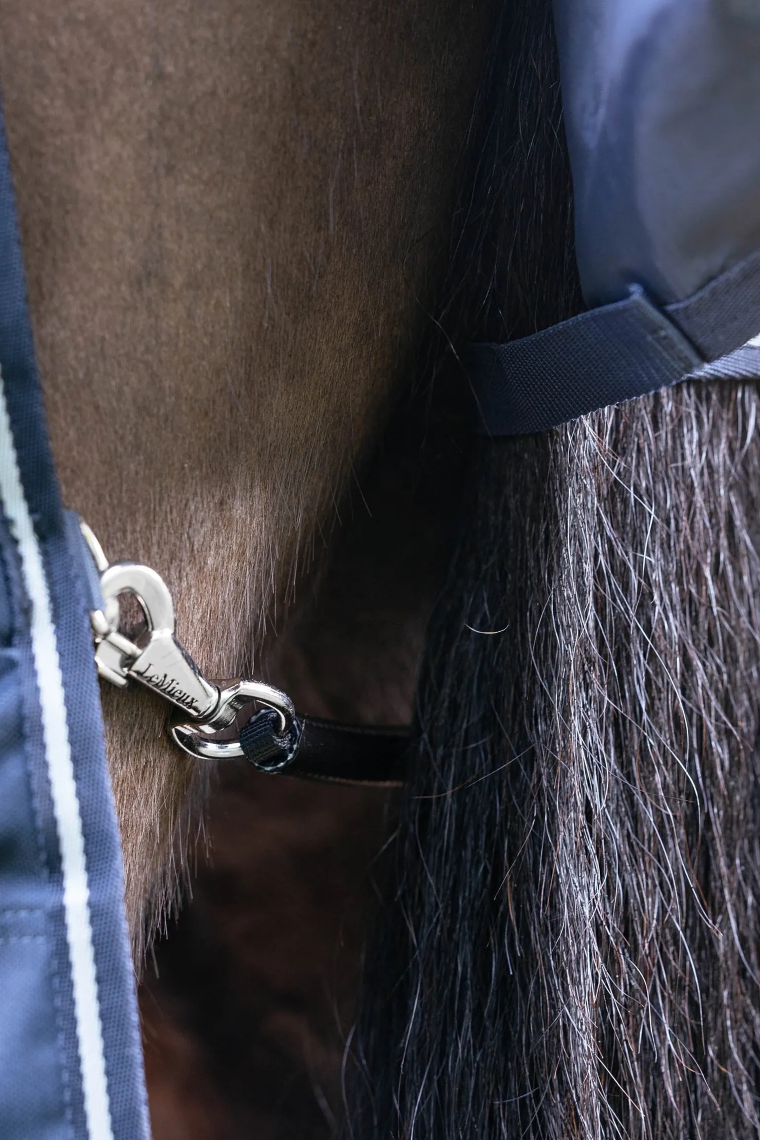 Arika Storm-Tek Weidedecke mit abnehmbarem Halsteil, 100 g