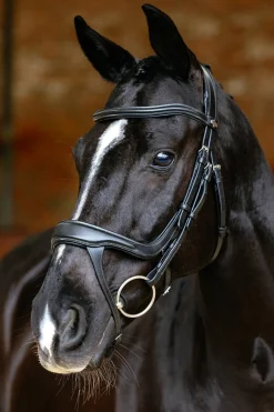 Arika Trensenzaum mit geteiltem Nasenriemen