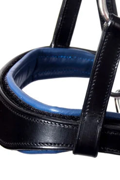 Aruba gebisslose Trense mit Zügeln (System 3)