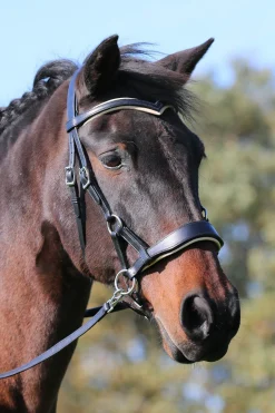 Aruba gebisslose Trense mit Zügeln (System 3)