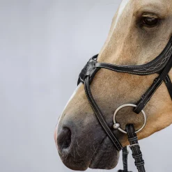 Athens Mexikanische Trense