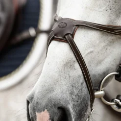 Athens Mexikanische Trense