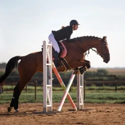 Atlanta Stollenschutz-Sattelgurt mit Fleecefutter