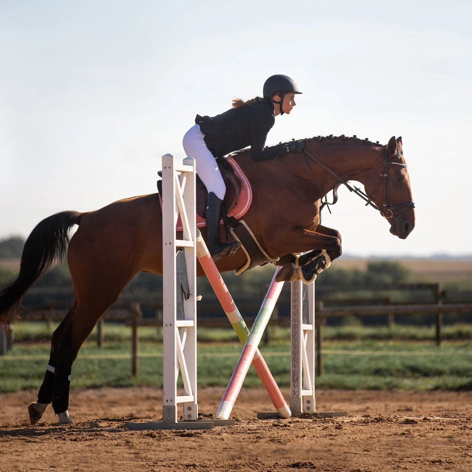 Atlanta Stollenschutz-Sattelgurt mit Fleecefutter