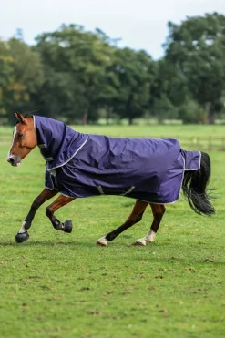 Atlantic Turnout Halsteil, 50 g