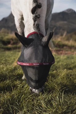 ausgestellte Fliegenmaske