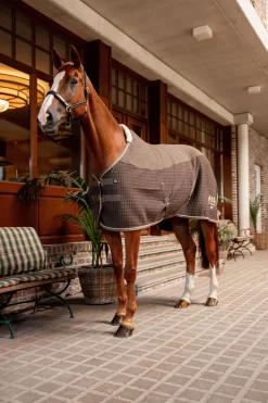 B Vertigo High Altitude Abschwitzdecke aus Wollmischgewebe