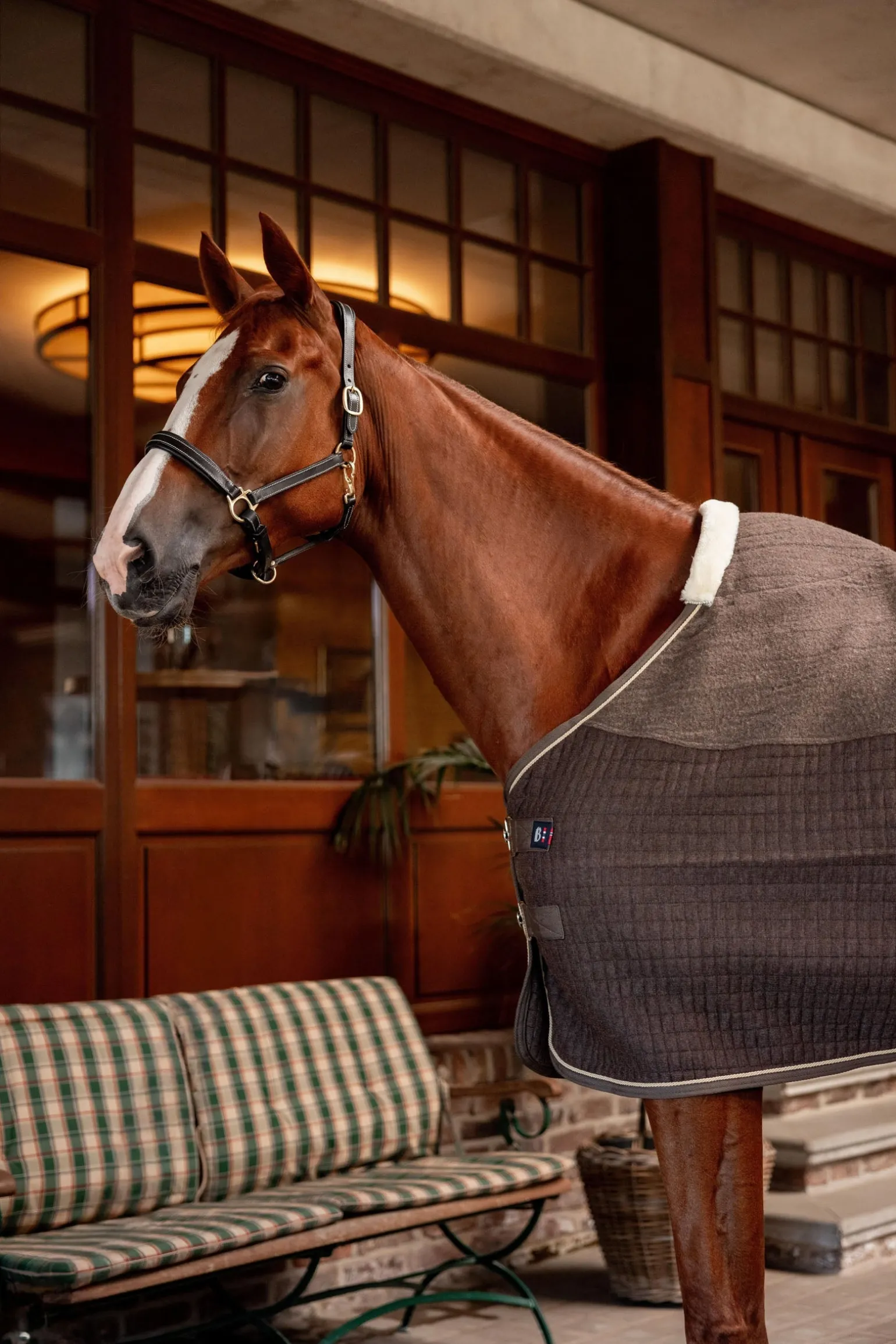 B Vertigo High Altitude Abschwitzdecke aus Wollmischgewebe