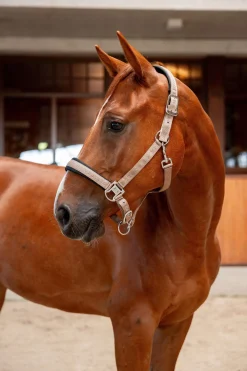 B Vertigo High Altitude geprägtes Halfter