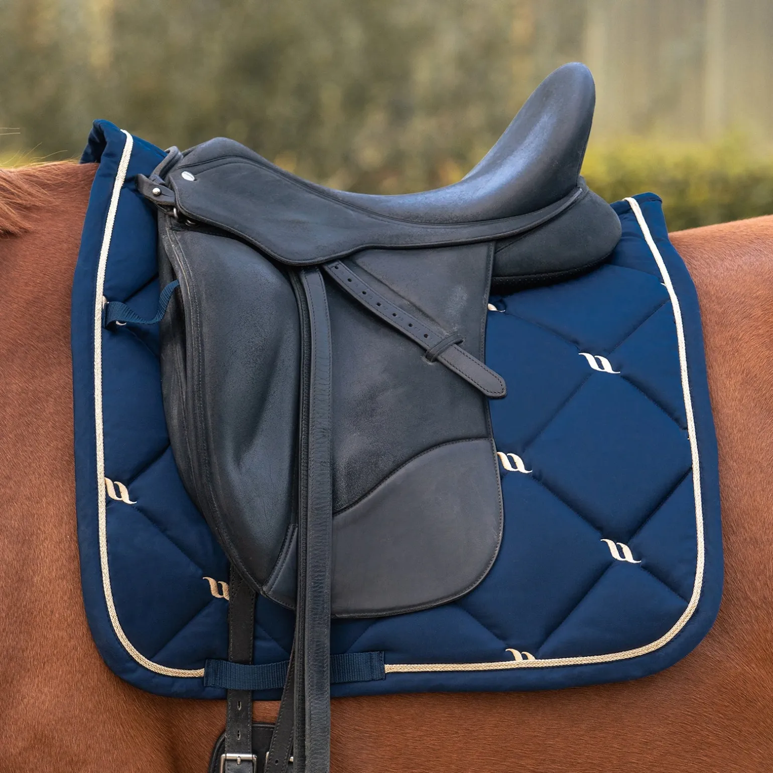 Back on Track Nights Collection Schabracke Dressur