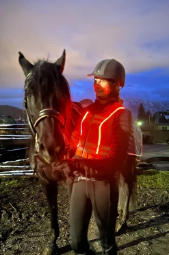 Ballistic High Visibility FlexFit Rückenprotektor, wendbar