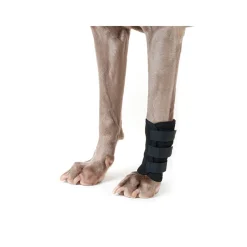 Bandage für Hunde (1 Stück)