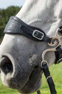 Barco Set Hackamore Anzüge, 150mm