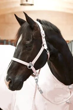 Bari Halfter & Führstrick Set