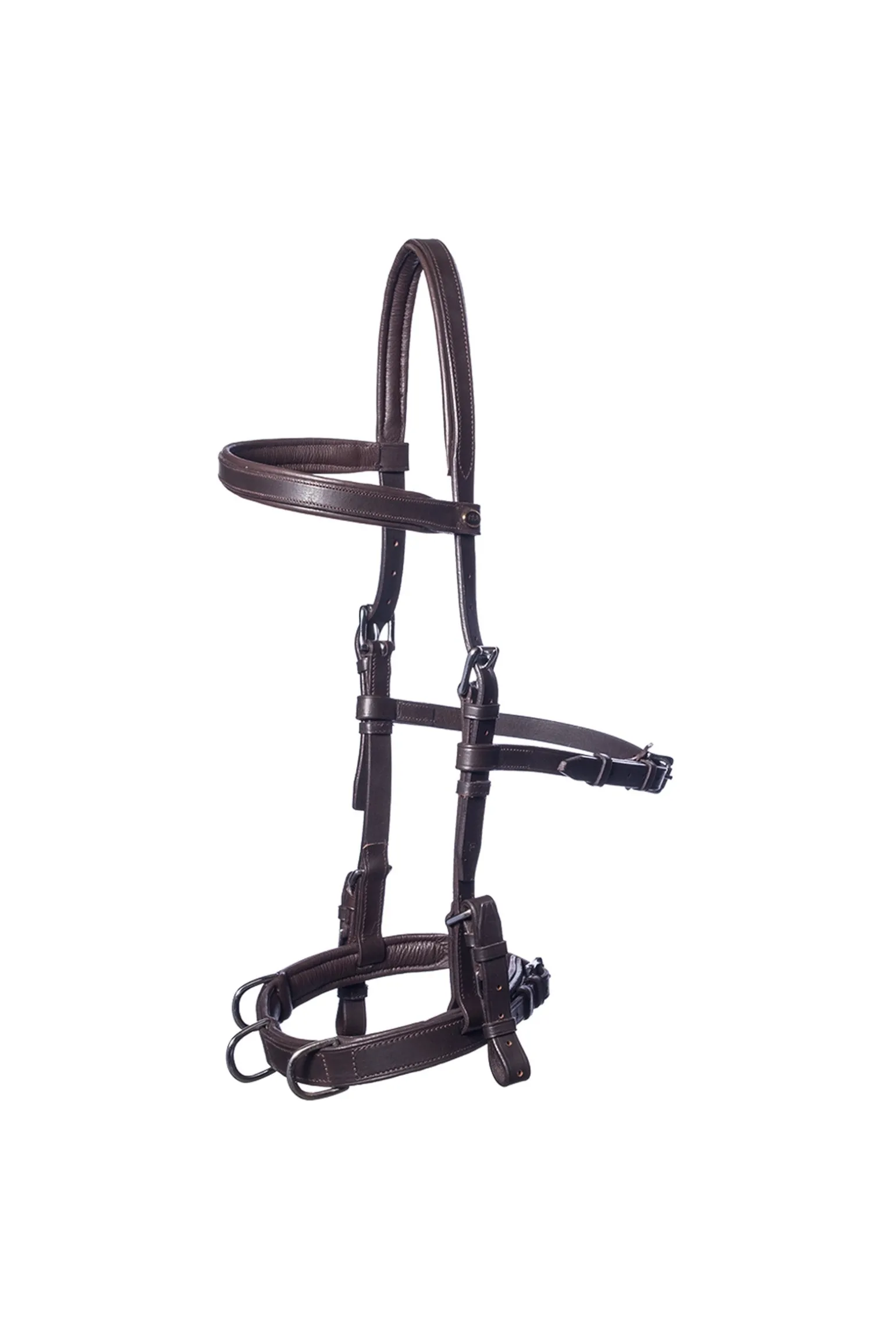 Baro Kappzaum, Leder