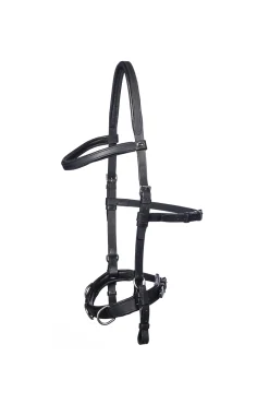 Baro Kappzaum, Leder