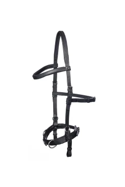 Baro Kappzaum, Leder (Shire)