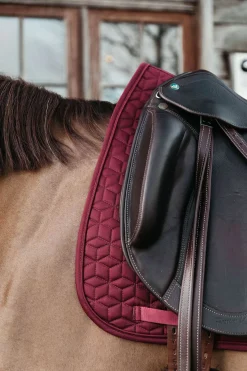 Basic Dressurschabracke