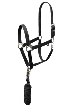 Basic Halfter & Führstrick mit Panikhaken