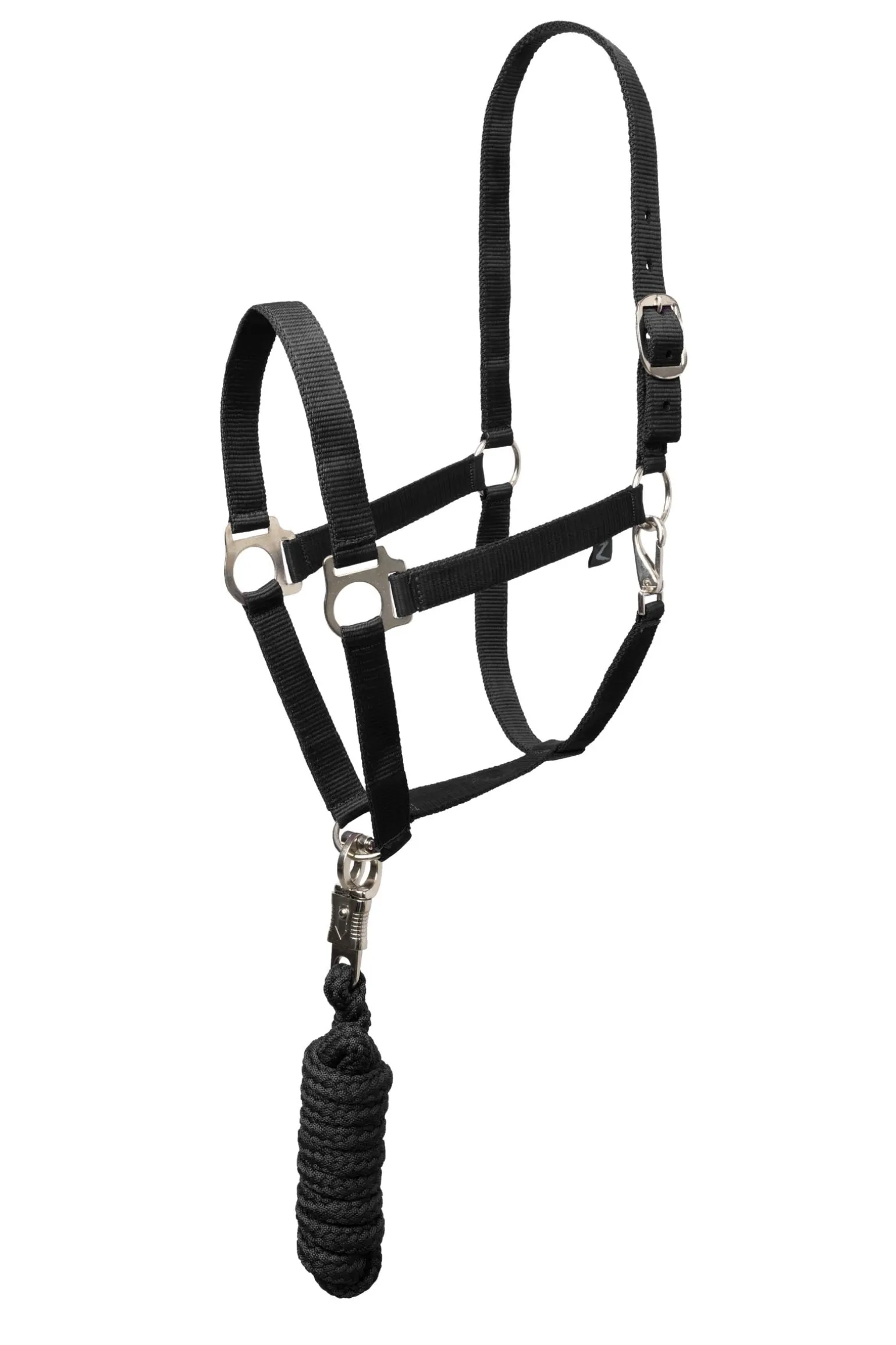 Basic Halfter & Führstrick mit Panikhaken