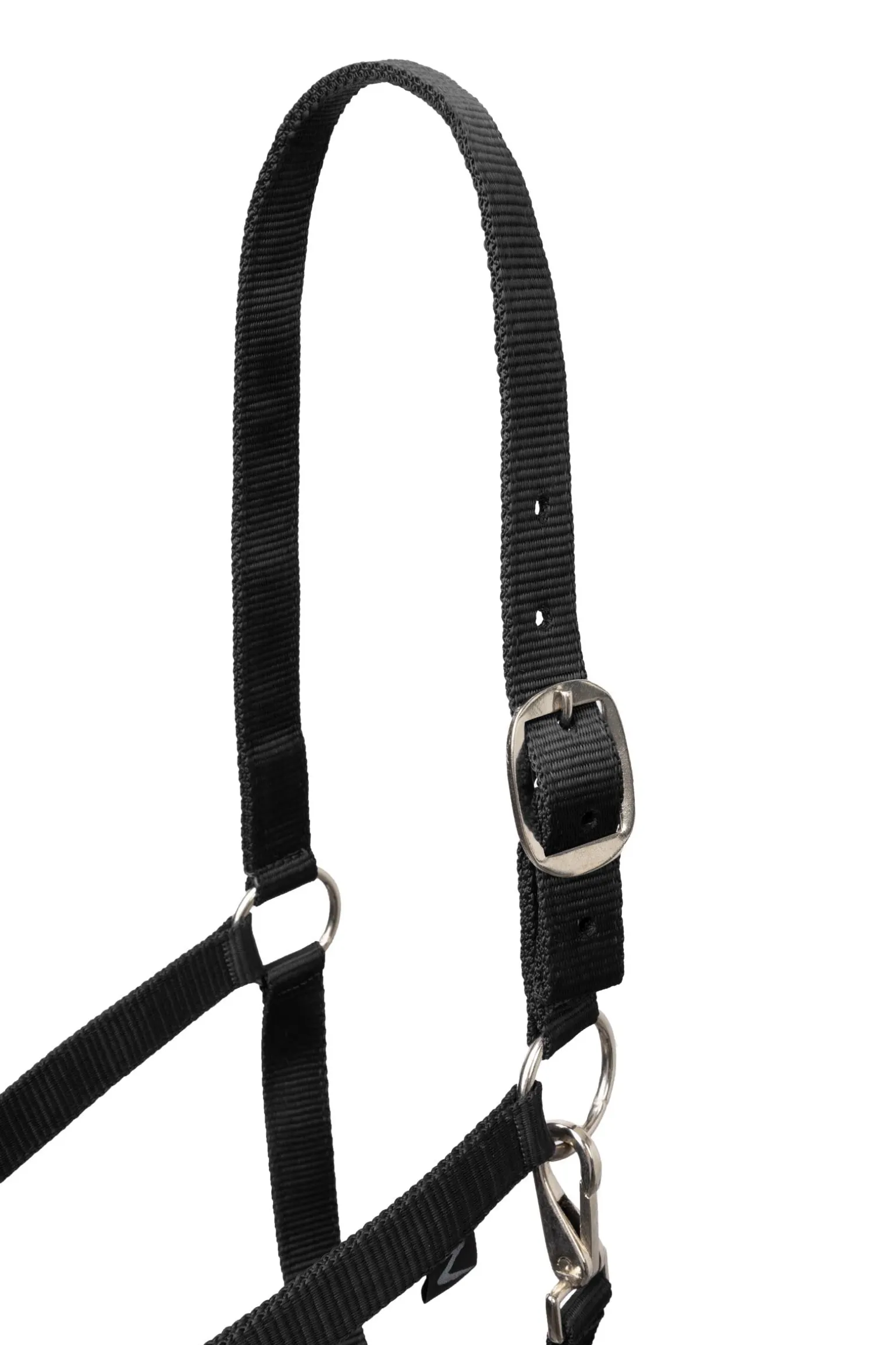 Basic Halfter & Führstrick mit Panikhaken