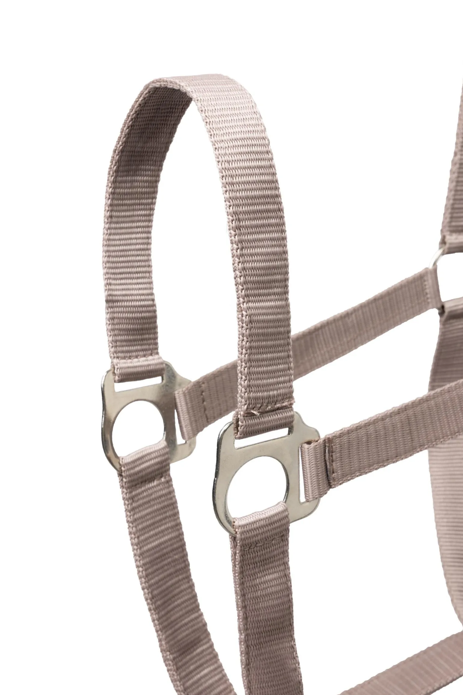 Basic Halfter & Führstrick mit Panikhaken