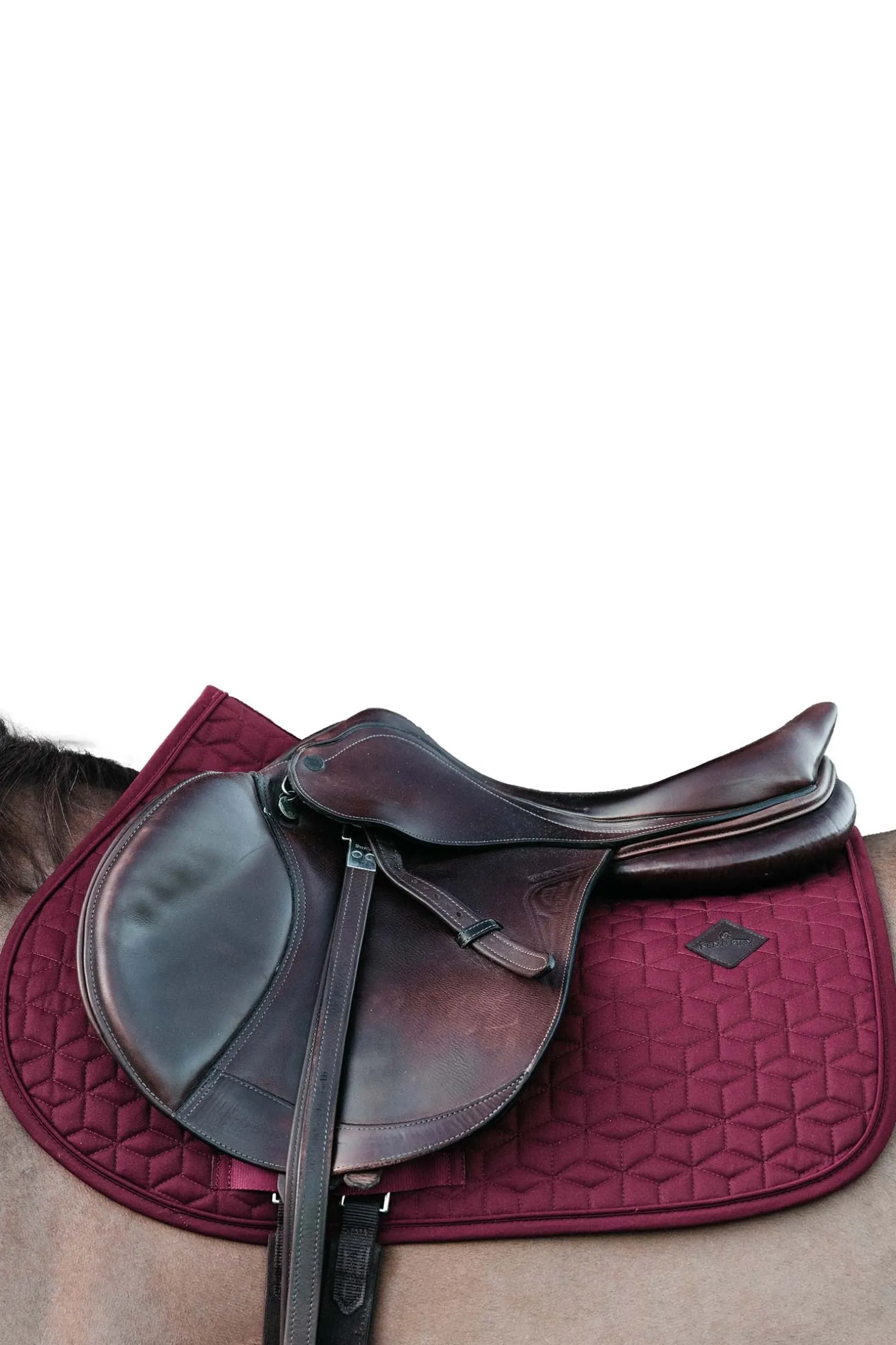 Basic Springschabracke