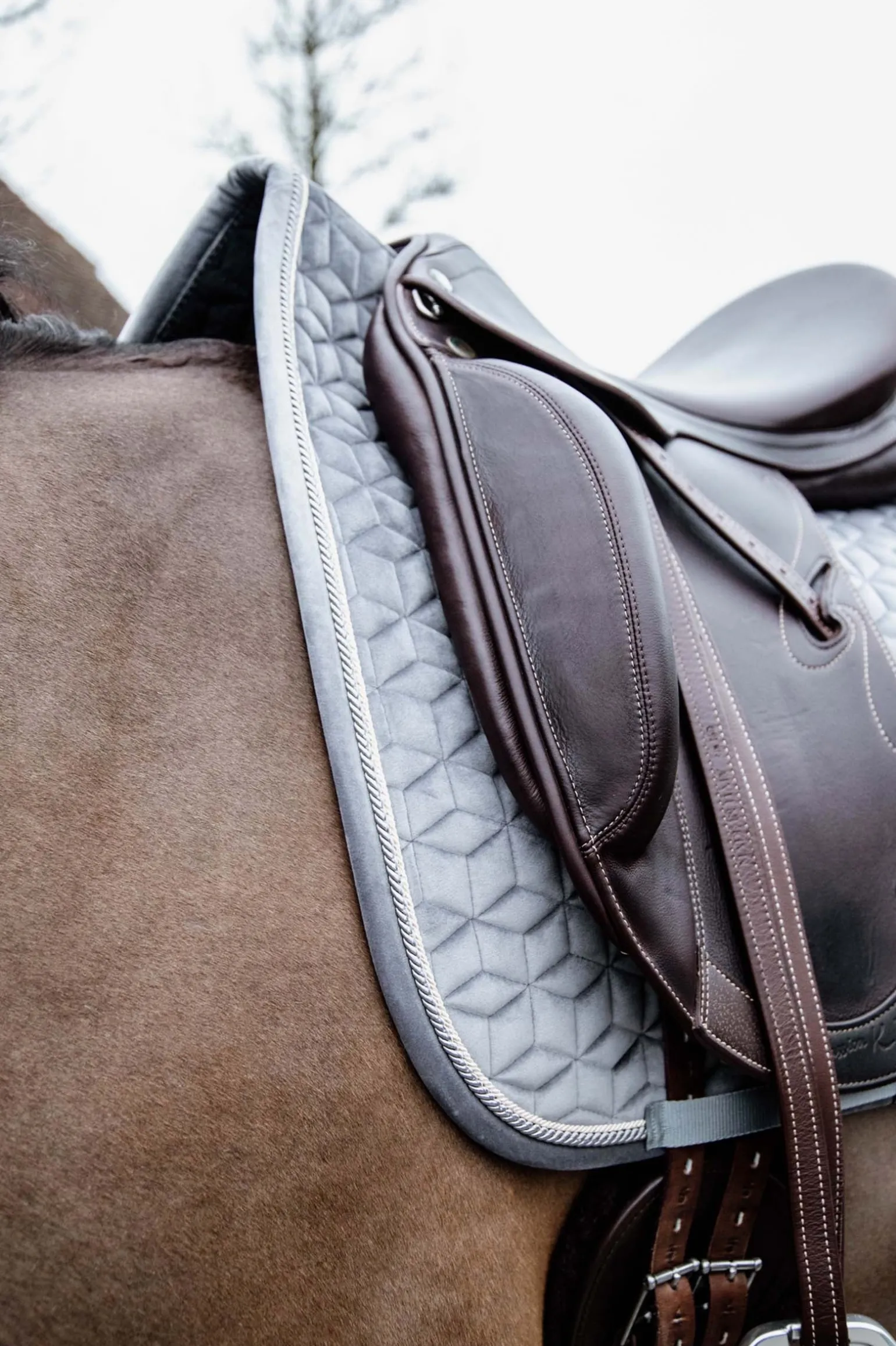 Basic Velvet Dressurschabracke