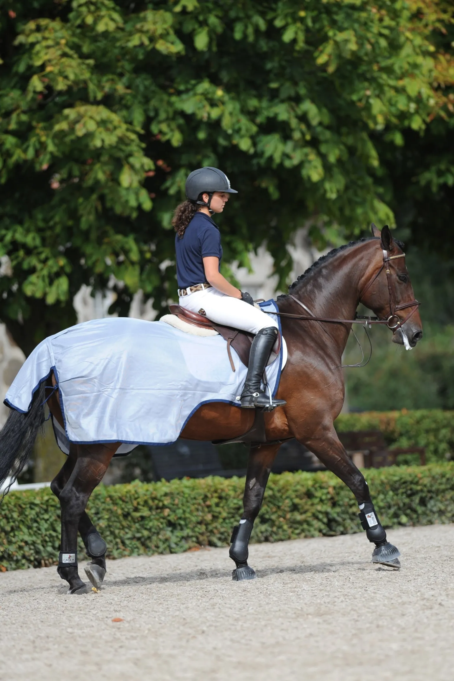 Buzz Off Ausreitdecke