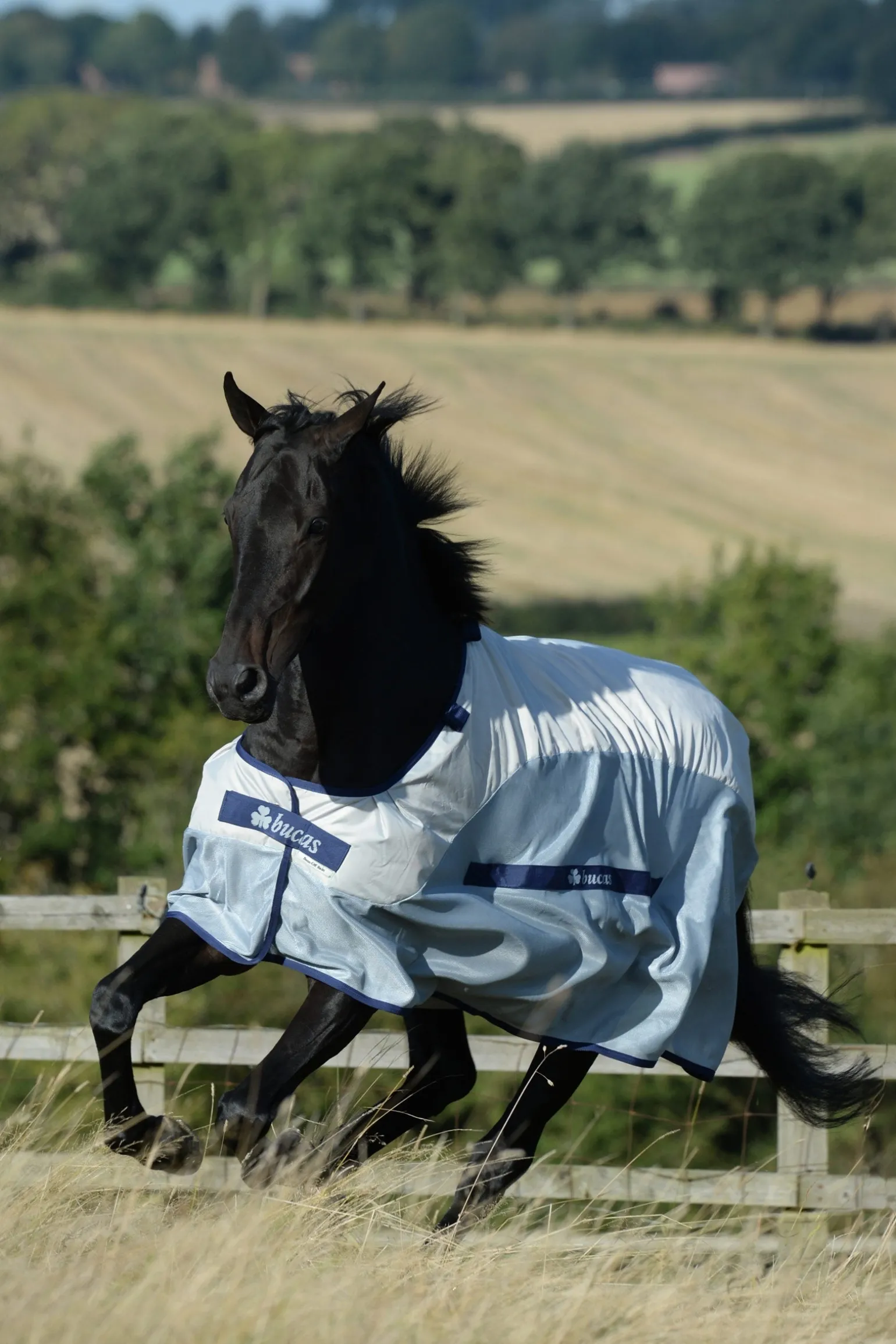 Buzz-Off Regen-Fliegendecke mit abnehmbarem Halsteil