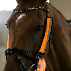 bZeen Zaumzeugrefkeltoren mit Neopren