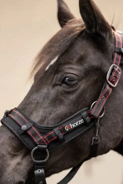 Cairo Infrarot Halfter