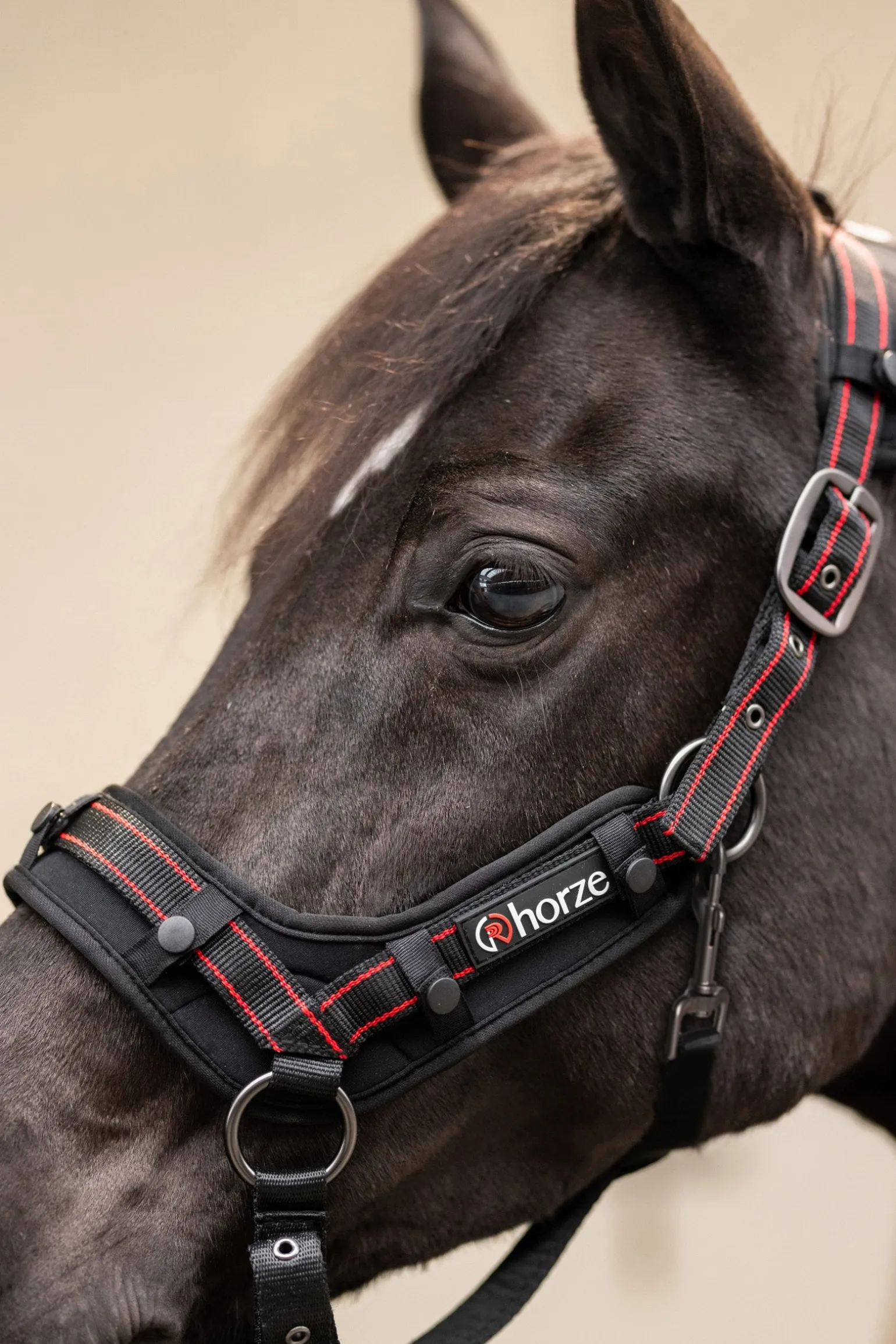 Cairo Infrarot Halfter