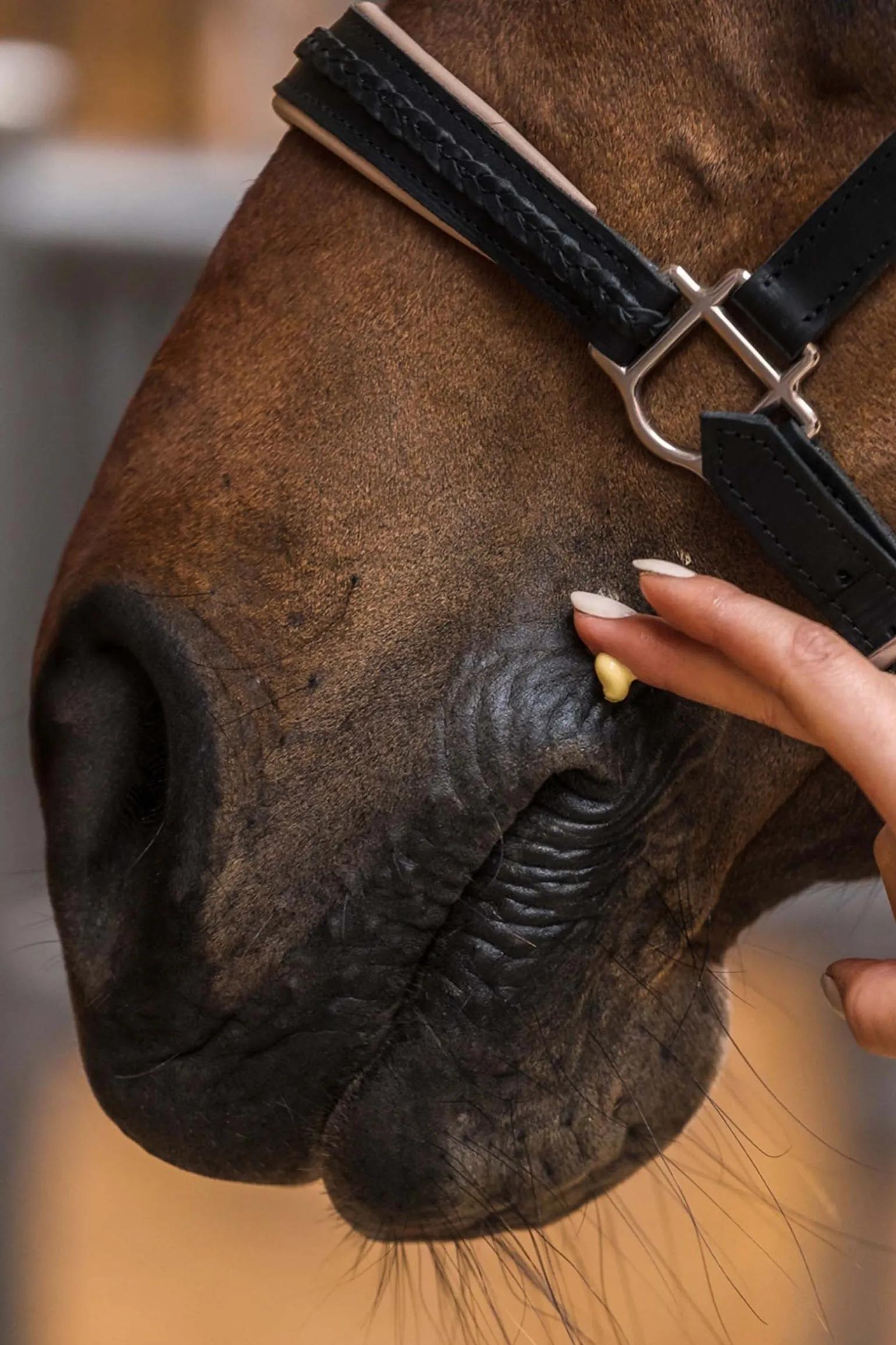 Calendula Intensiv Balsam, 200ml