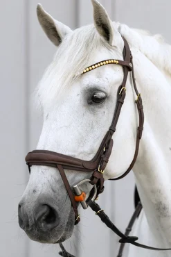 Caliano Englische Trense