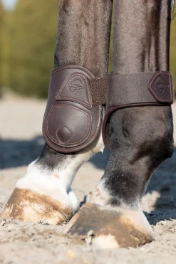 Capella Leder-Streichkappen