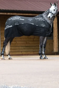 Carbon Abschwitzdecke