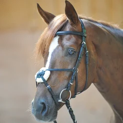 Carlos Mexikanisches Reithalfter