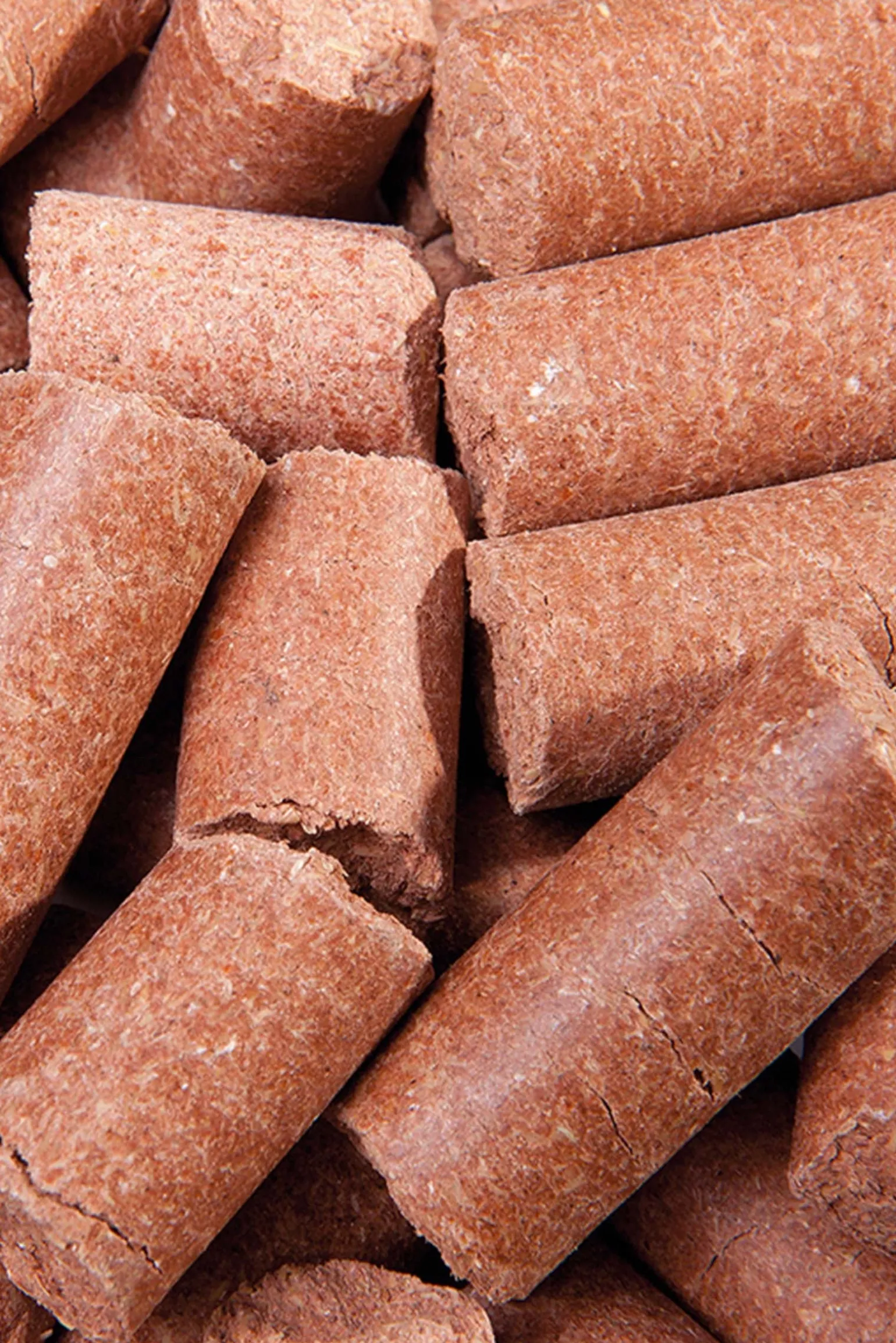 Carrot Delicious Speedies, Leckerli, 5kg