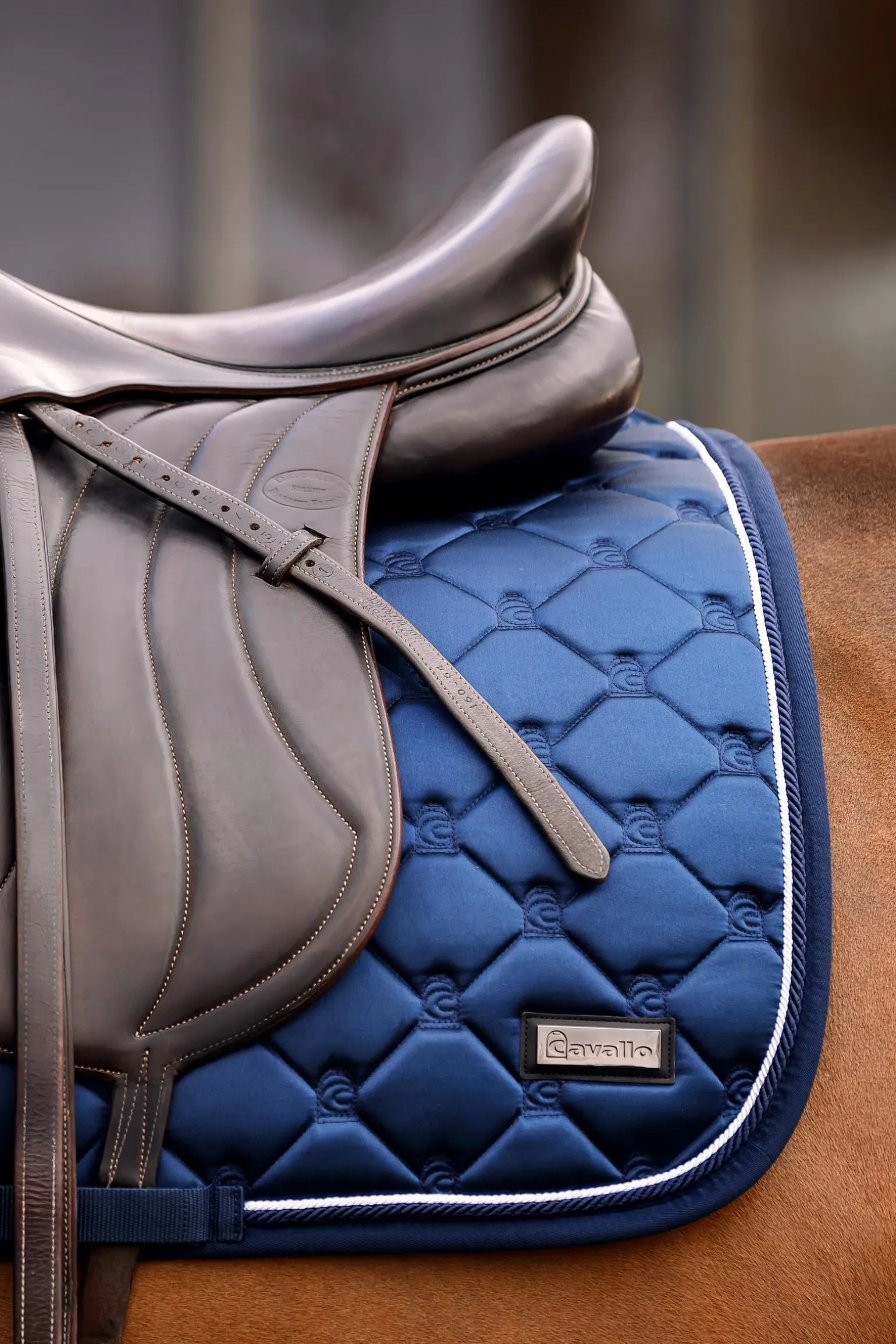 Cavahanaya Dressurschabracke