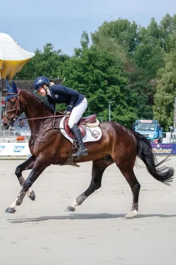 CC Vielseitigkeitsschabracke aus Baumwolle