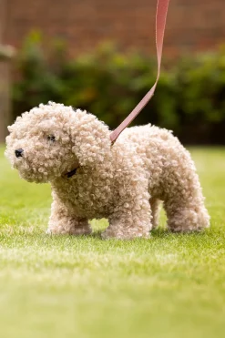 Chester Spielzeug Hundewelpe