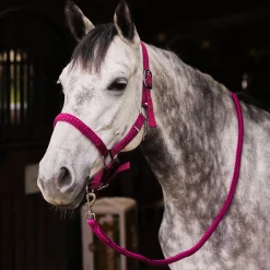 Chicago Halfter- & Führstrick-Set