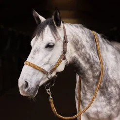 Chicago Halfter- & Führstrick-Set