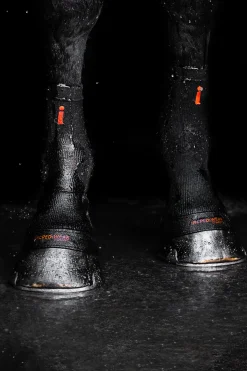 Circulation Hoof Socks